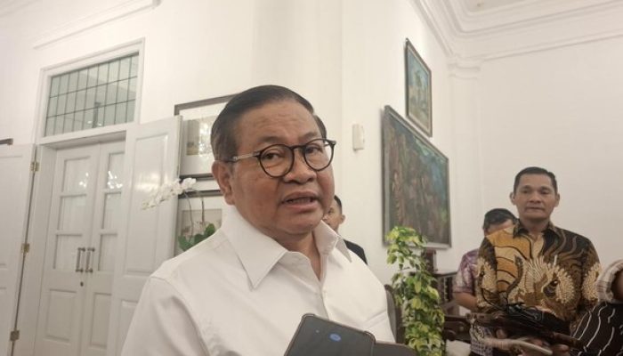 Pedagang Ikan Kramat Jati Kini Masuk Pasar, Pramono Anung: Kawasan Jadi Lebih Baik